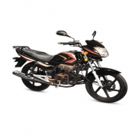 Dayang Bullet 100